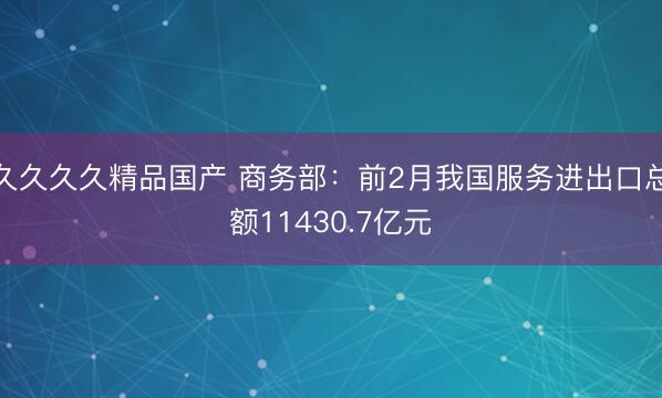 久久久久精品国产 商务部：前2月我国服务进出口总额11430.7亿元