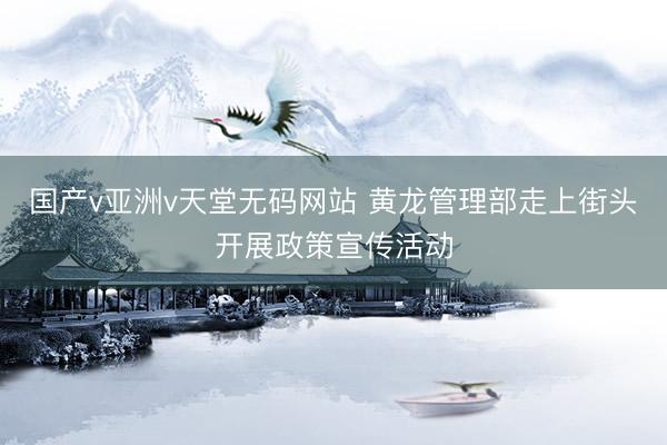 国产v亚洲v天堂无码网站 黄龙管理部走上街头开展政策宣传活动