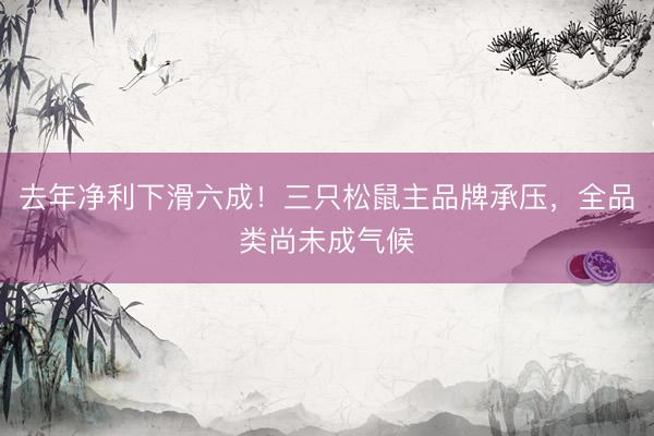 去年净利下滑六成！三只松鼠主品牌承压，全品类尚未成气候