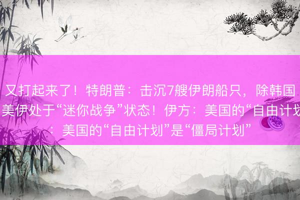 又打起来了！特朗普：击沉7艘伊朗船只，除韩国船外没有损失，美伊处于“迷你战争”状态！伊方：美国的“自由计划”是“僵局计划”