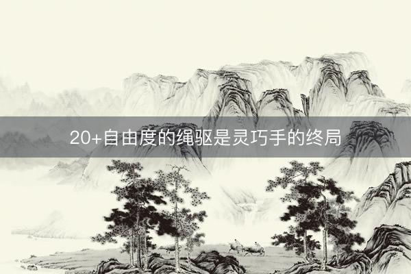 20+自由度的绳驱是灵巧手的终局