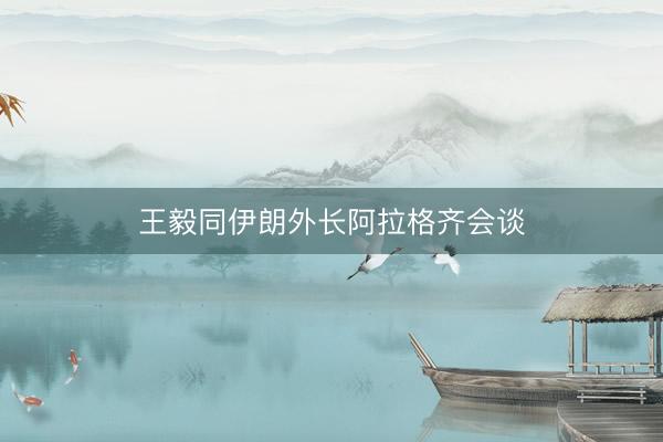 王毅同伊朗外长阿拉格齐会谈