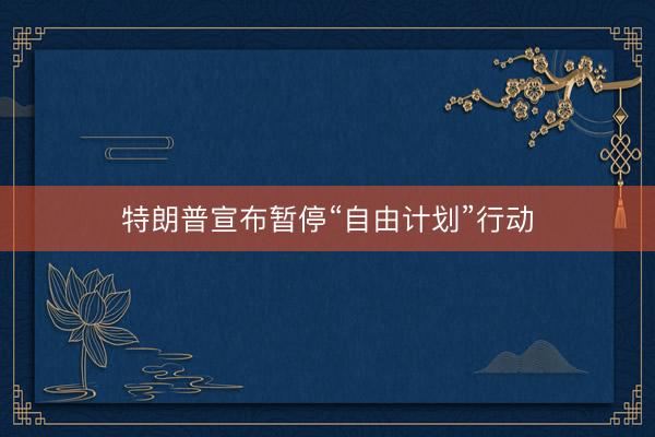 特朗普宣布暂停“自由计划”行动