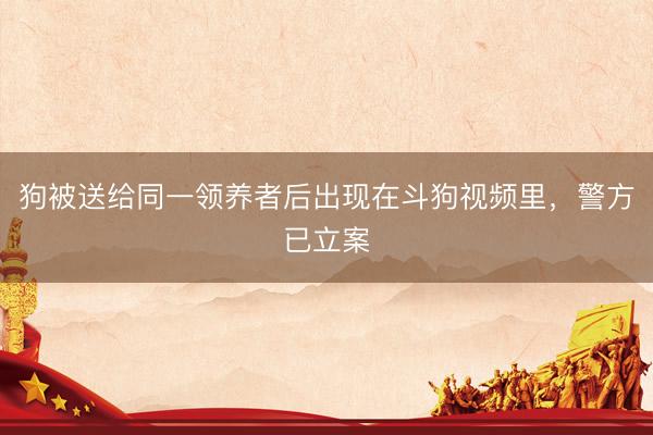 狗被送给同一领养者后出现在斗狗视频里，警方已立案