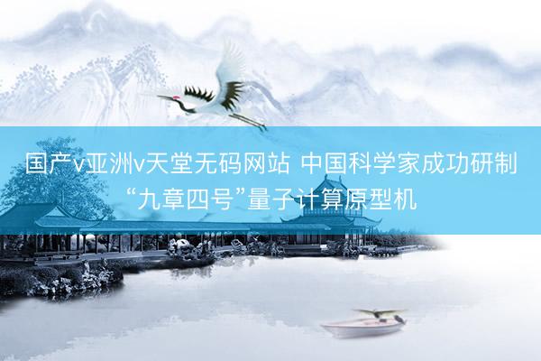 国产v亚洲v天堂无码网站 中国科学家成功研制“九章四号”量子计算原型机