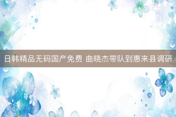 日韩精品无码国产免费 曲晓杰带队到惠来县调研