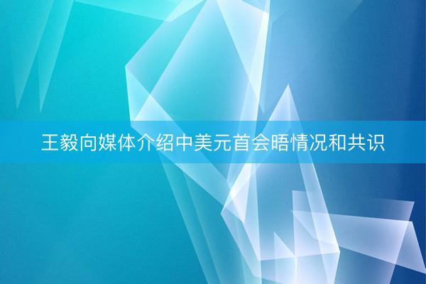 王毅向媒体介绍中美元首会晤情况和共识