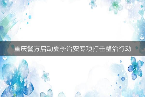 重庆警方启动夏季治安专项打击整治行动