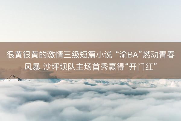 很黄很黄的激情三级短篇小说 “渝BA”燃动青春风暴 沙坪坝队主场首秀赢得“开门红”