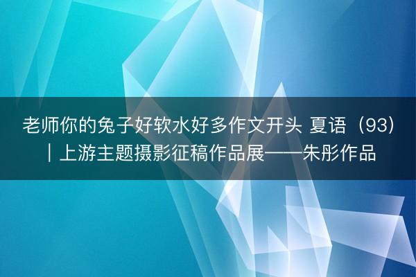 老师你的兔子好软水好多作文开头 夏语（93）｜上游主题摄影征稿作品展——朱彤作品