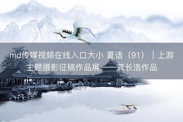 md传媒视频在线入口大小 夏语（91）｜上游主题摄影征稿作品展——龚长浩作品