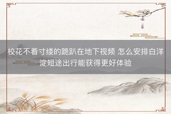 校花不着寸缕的跪趴在地下视频 怎么安排白洋淀短途出行能获得更好体验