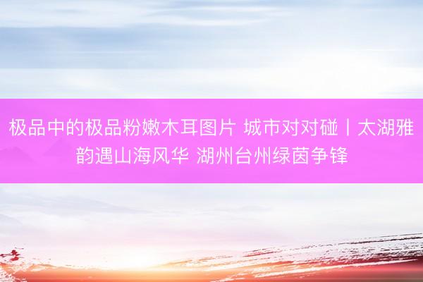 极品中的极品粉嫩木耳图片 城市对对碰丨太湖雅韵遇山海风华 湖州台州绿茵争锋