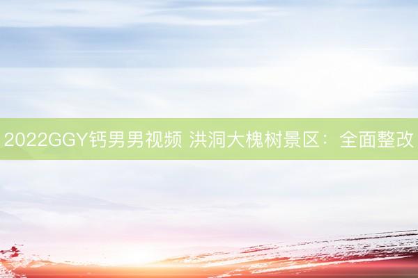 2022GGY钙男男视频 洪洞大槐树景区：全面整改
