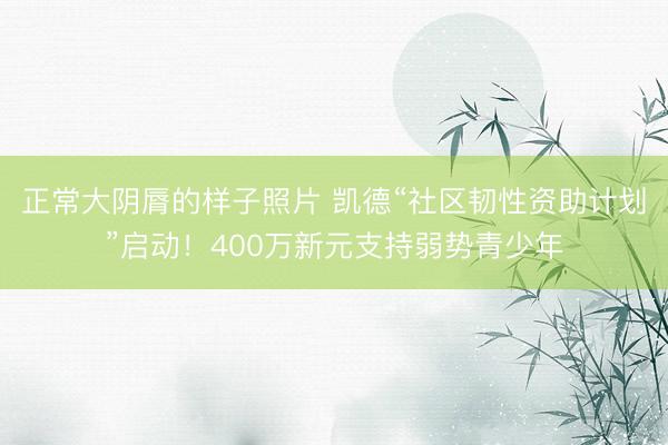 正常大阴脣的样子照片 凯德“社区韧性资助计划”启动！400万新元支持弱势青少年