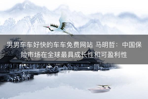 男男车车好快的车车免费网站 马明哲：中国保险市场在全球最具成长性和可盈利性