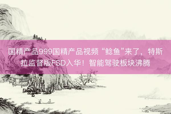 国精产品999国精产品视频 “鲶鱼”来了，特斯拉监督版FSD入华！智能驾驶板块沸腾