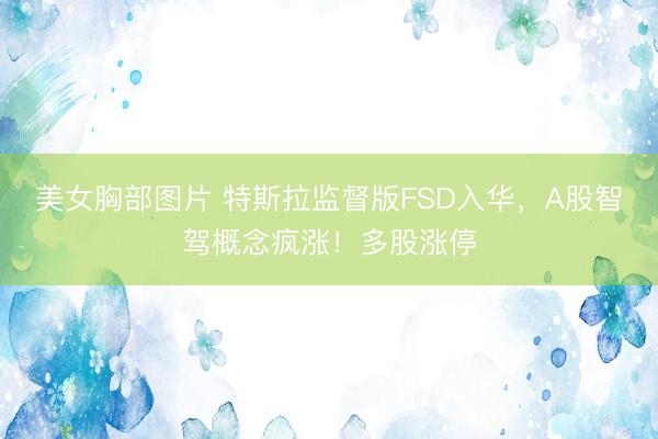 美女胸部图片 特斯拉监督版FSD入华，A股智驾概念疯涨！多股涨停