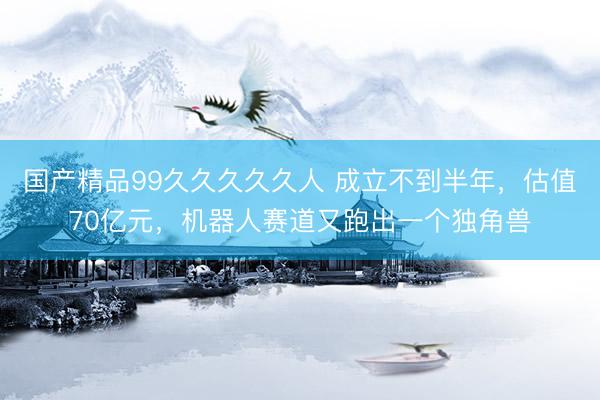 国产精品99久久久久久人 成立不到半年，估值70亿元，机器人赛道又跑出一个独角兽