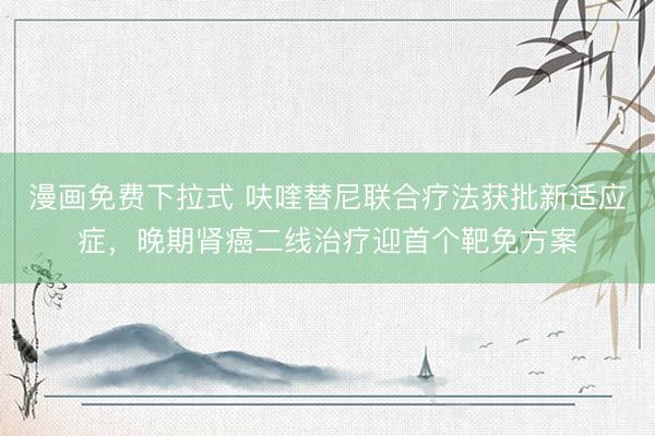 漫画免费下拉式 呋喹替尼联合疗法获批新适应症，晚期肾癌二线治疗迎首个靶免方案