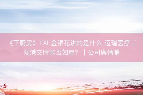 《下厨房》TXL金银花讲的是什么 迈瑞医疗二闯港交所能否如愿？｜公司舆情哨