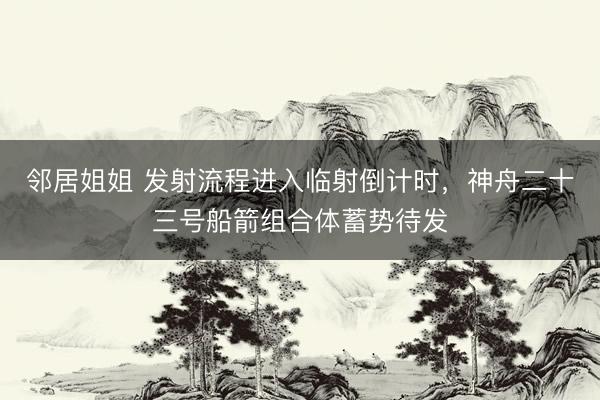 邻居姐姐 发射流程进入临射倒计时，神舟二十三号船箭组合体蓄势待发