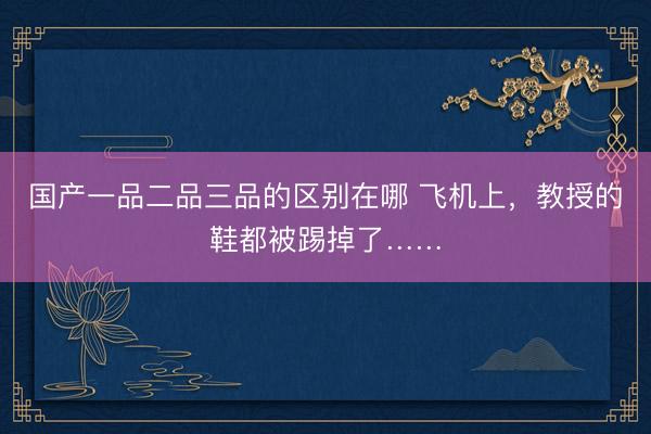 国产一品二品三品的区别在哪 飞机上，教授的鞋都被踢掉了……