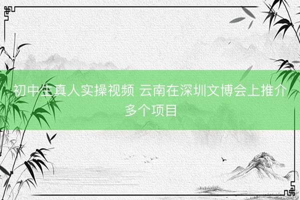 初中生真人实操视频 云南在深圳文博会上推介多个项目