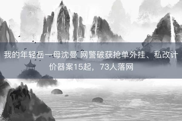 我的年轻岳一母沈曼 网警破获抢单外挂、私改计价器案15起，73人落网