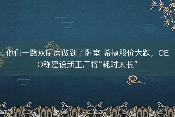他们一路从厨房做到了卧室 希捷股价大跌，CEO称建设新工厂将“耗时太长”