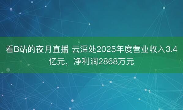 看B站的夜月直播 云深处2025年度营业收入3.4亿元，净利润2868万元