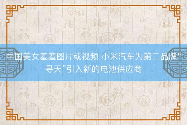 中国美女羞羞图片或视频 小米汽车为第二品牌“寻天”引入新的电池供应商