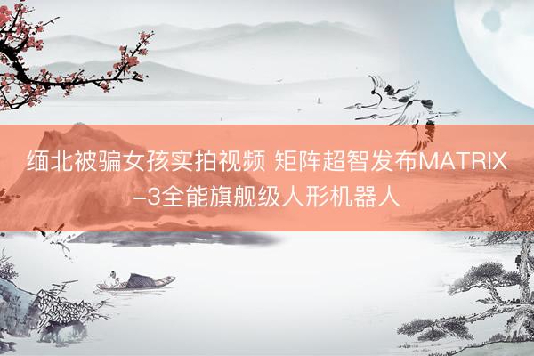 缅北被骗女孩实拍视频 矩阵超智发布MATRIX-3全能旗舰级人形机器人