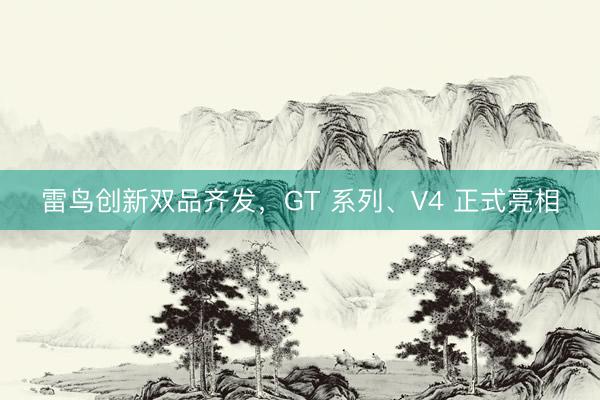 雷鸟创新双品齐发，GT 系列、V4 正式亮相