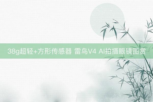 38g超轻+方形传感器 雷鸟V4 AI拍摄眼镜图赏