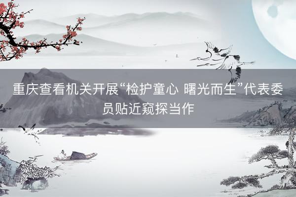 重庆查看机关开展“检护童心 曙光而生”代表委员贴近窥探当作