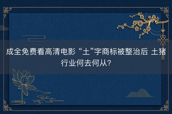 成全免费看高清电影 “土”字商标被整治后 土猪行业何去何从？