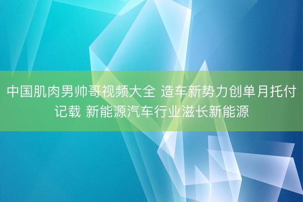 中国肌肉男帅哥视频大全 造车新势力创单月托付记载 新能源汽车行业滋长新能源
