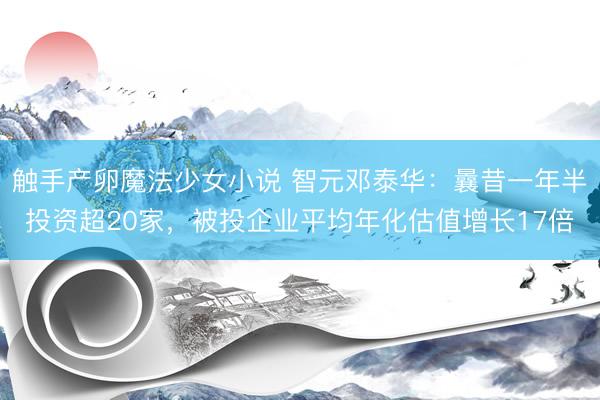 触手产卵魔法少女小说 智元邓泰华：曩昔一年半投资超20家，被投企业平均年化估值增长17倍
