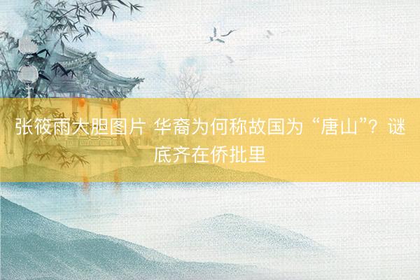 张筱雨大胆图片 华裔为何称故国为 “唐山”？谜底齐在侨批里