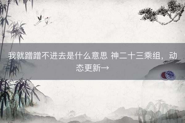 我就蹭蹭不进去是什么意思 神二十三乘组,动态更新→