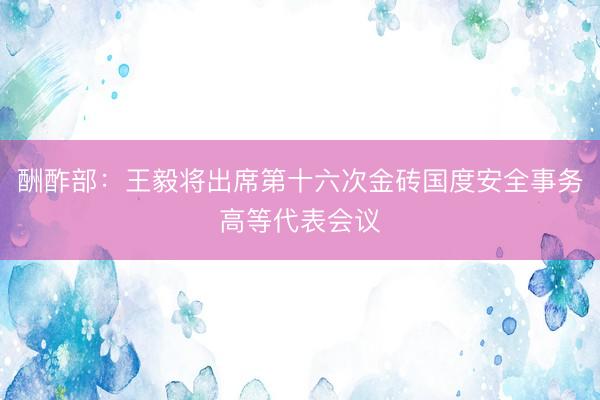 酬酢部:王毅将出席第十六次金砖国度安全事务高等代表会议